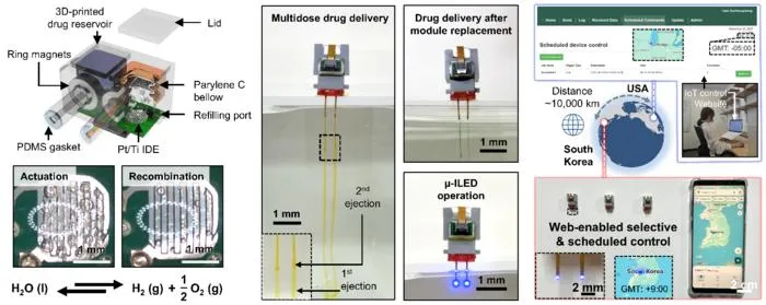Neural Implant in Korea Remotely Controlled from the United States, Bringing Brain Research into the IoT Era