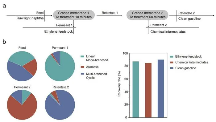 Graded membranes point to a sustainable route for refining complex petroleum