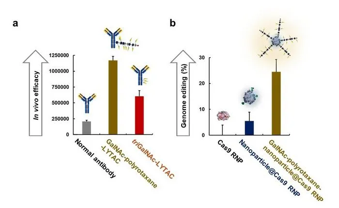 Therapeutic Applications in Next-Generation Biopharmaceuticals: Enhanced LYTAC Activity and Genome Editing Efficiency
