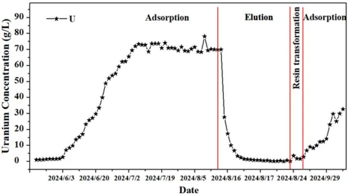 Field demonstration results showing uranium concentration profiles across adsorption, elution, and transformation cycles at a commercial uranium ISR mine site.