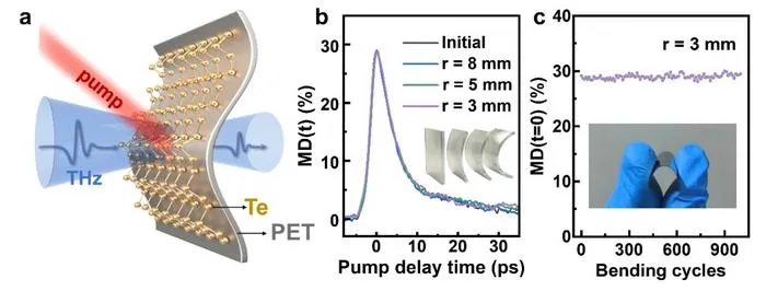 Figure 1 | Flexible Te/PET terahertz modulator with mechanical robustness.