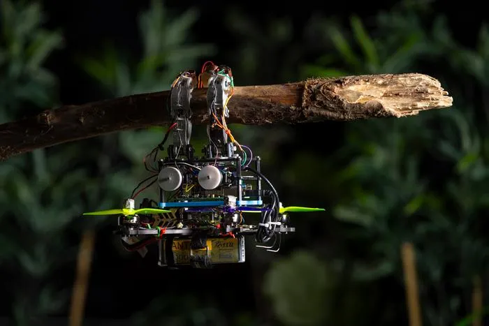 Gripper drone hanging onto branch
