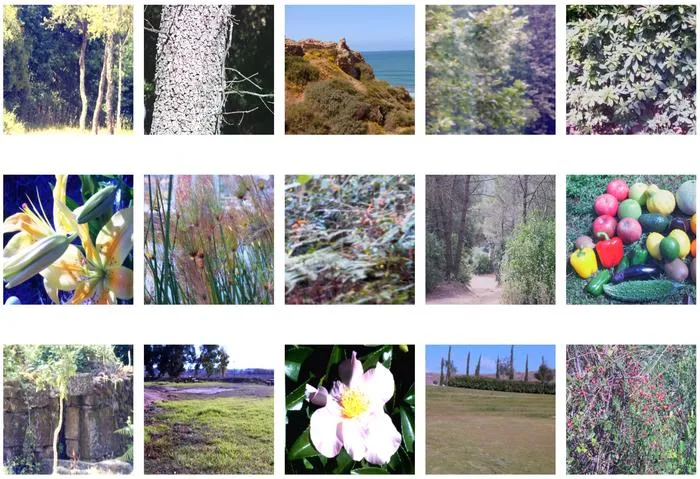 Calibrated natural scenes