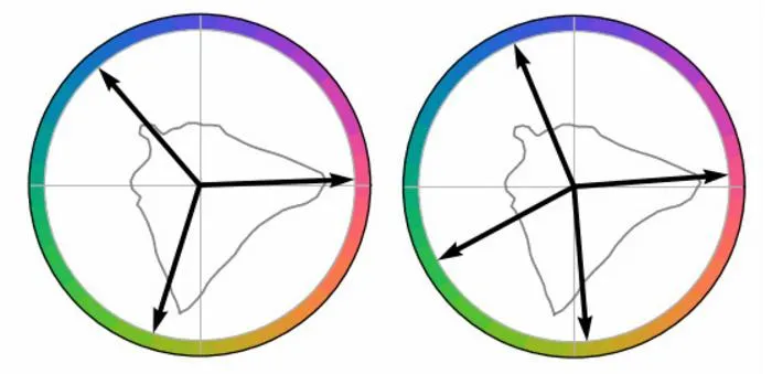 Vector representations of color in the brain