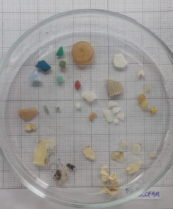 Bits of collected plastic
