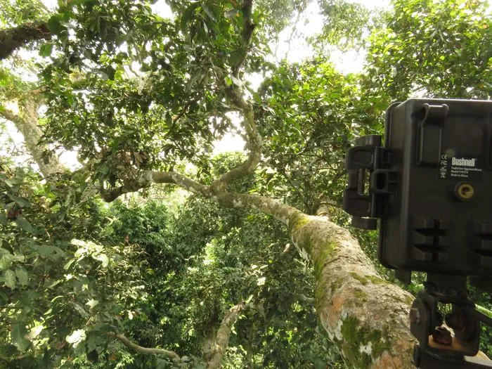 Infrared Cameras