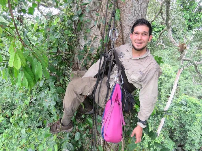 Climbing the Canopy