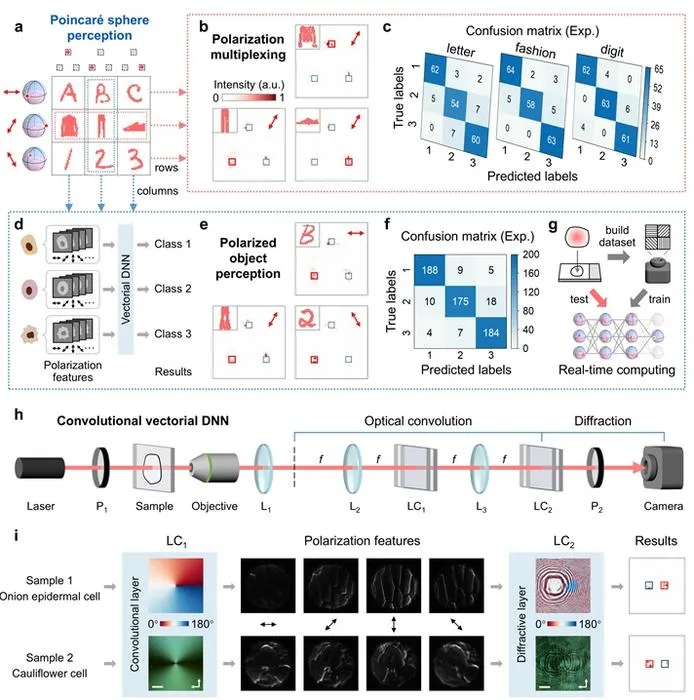 Figure 2 | Vectorial DNN for polarized object perception.