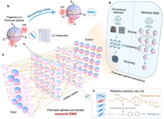 Figure 1 | Schematic of LC-based photonic in-memory computing.