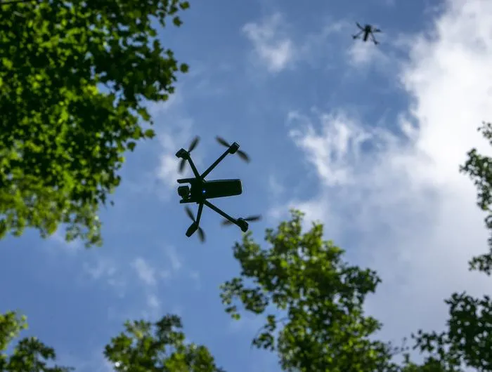 Drones in Trees