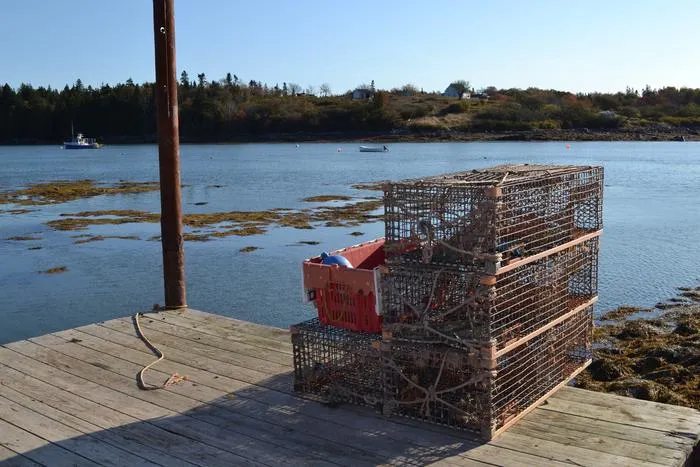 Lobster Traps