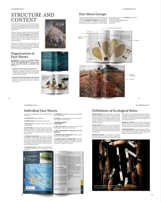 Structure and Content