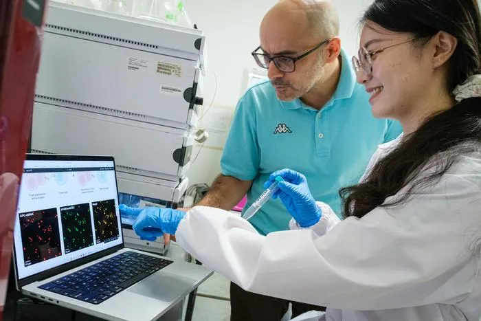 NTU Prof Ali Miserez (left) and researcher Chen Zilin looking at the microscopy images, where their patent pending microdroplets reduced growth of tumour cells in small animal experiments.