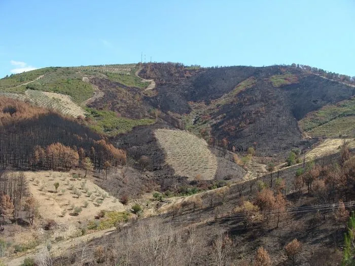 The ‘Mosaico Extremadura’ initiative in northern Extremadura (Spain)