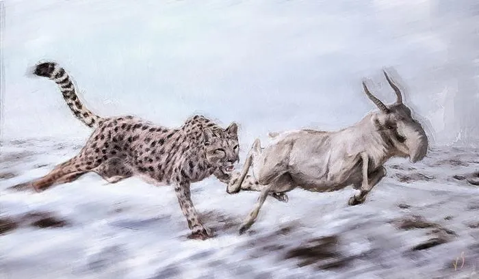Illustration of Miracinonyx trumani chasing prey