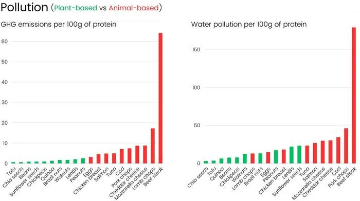 Two bar charts comparing greenhouse gas emissions and water pollution produced by plant-based and animal-based protein sources per 100 g of protein.