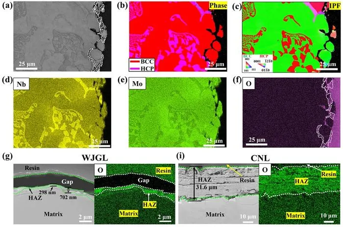 Fig. 3 SEM images and mapping result of WJGL processed interface and material matric.