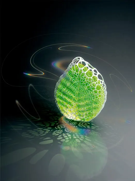 White Is More Than a Color: How Nature Inspired a New Sustainable Way to Make White, Water-Repellent Materials - Image 1