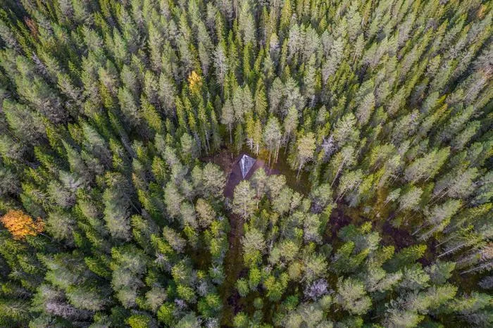 The eLTER policy brief outlines how forest resilience can be strengthened through a combination of science-based management approaches