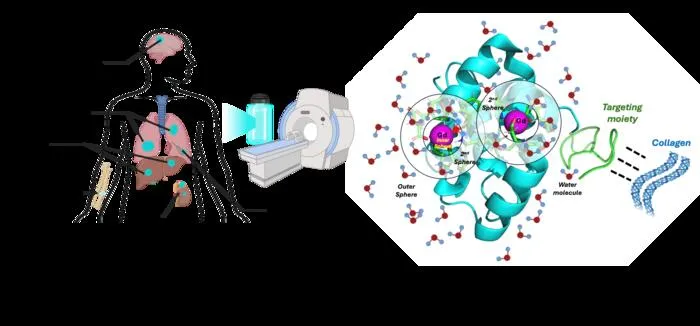 New MRI Agent Detects Lung Cancer, Hidden Metastases Earlier Than Current Scans New MRI Agent Detects Lung Cancer, Hidden Metastases Earlier Than Current Scans