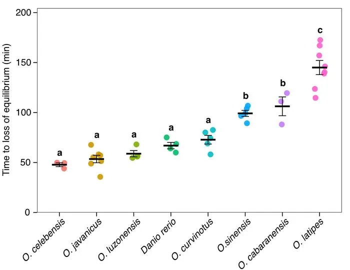 Comparison of cold tolerance (time until loss of equilibrium) among closely related medaka species