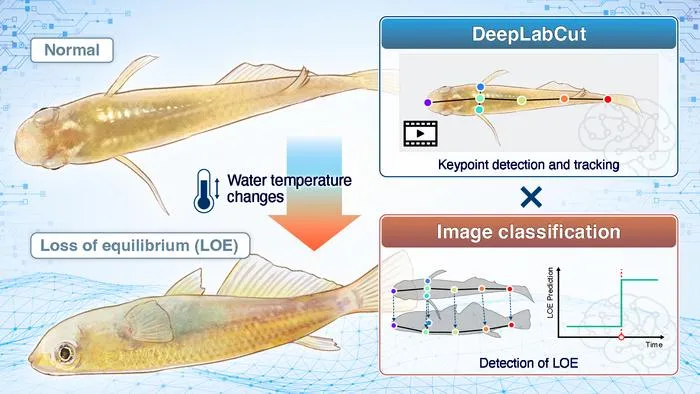 AI detects temperature induced loss of equilibrium in fish