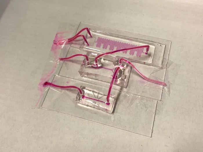 Sensor developed to continuously monitor the health of donated lungs