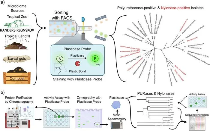 Graphics of enzyme sourcing and sorting