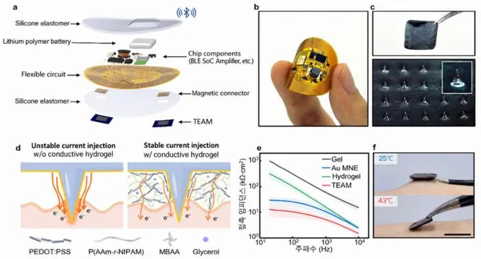 KAIST and KIOM Develop a Wearable Microneedle Electroceutical for Personalized Pain Management