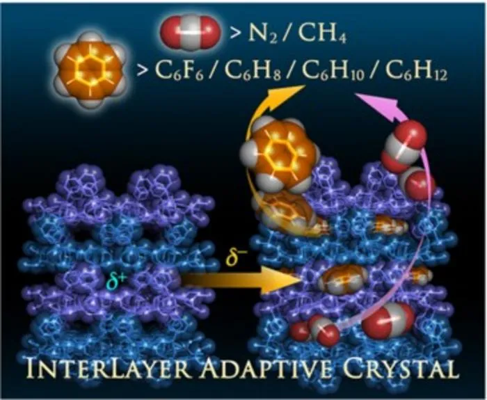 Interlayer Adaptive Crystal Enables Selective CO₂ and Benzene Recognition