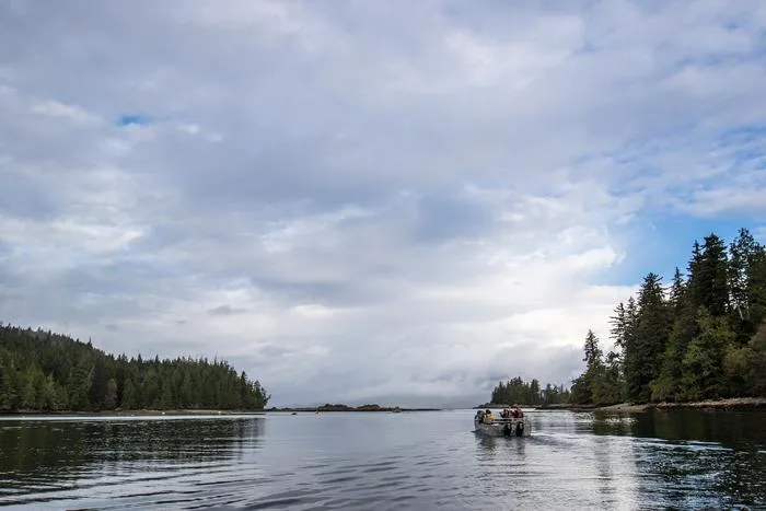 Forested catchments on Vancouver Island's west coast