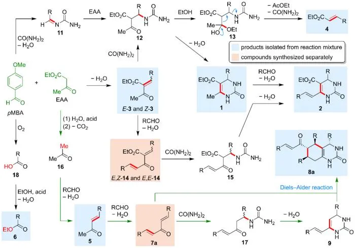 Figure 3. Biginelli reaction network reconstructed according to isolated compounds (R = p-methoxyphenyl)