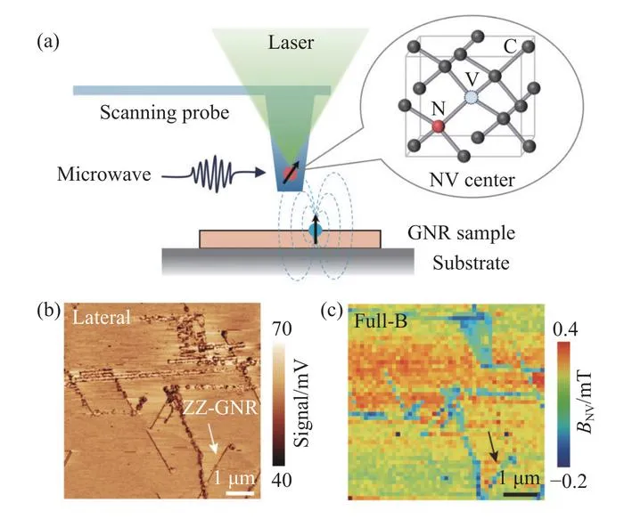 SNVM probing and magnetic imaging of an hBN-embedded zigzag graphene nanoribbon