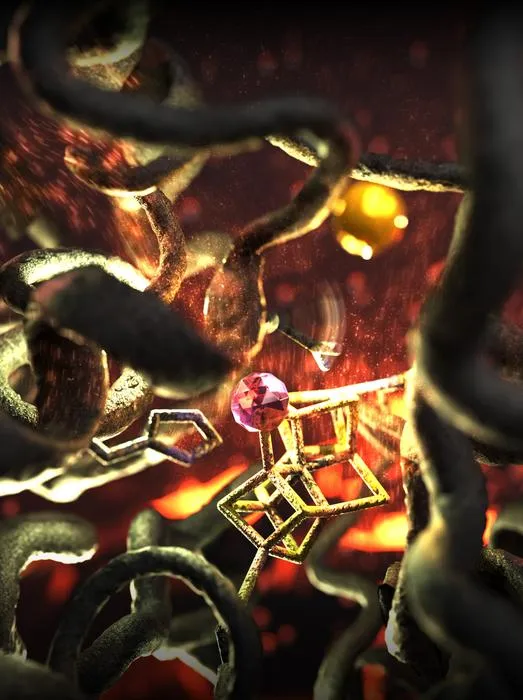 Look into the Nitrogenasen