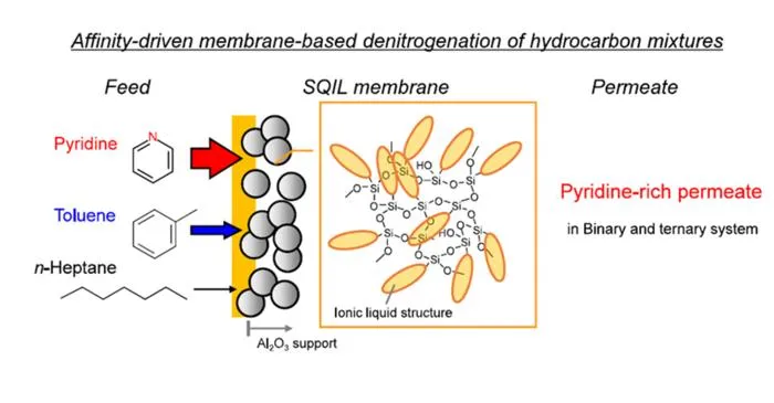 Affinity-based removal of nitrogen compounds from liquid fuel mixtures using SQIL membranes