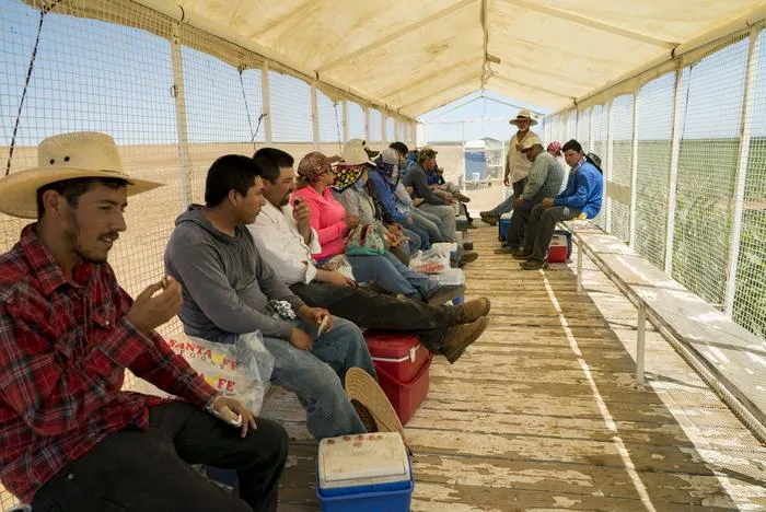 Farmworkers rest in shade trailer