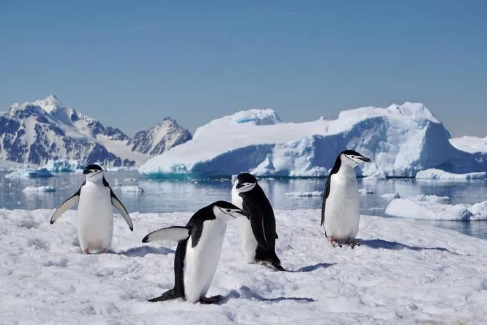 Image-2-Antarctica.-Credit-Professor-Alison-Banwell-scaled
