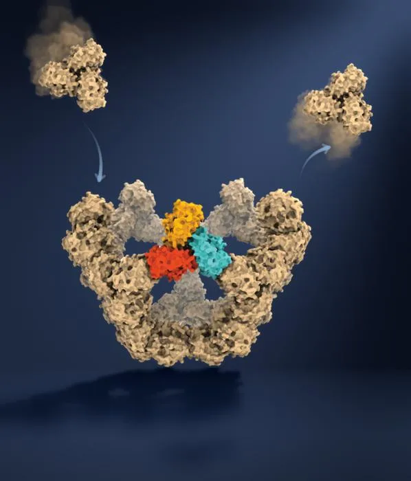 Illustration of virus-like particle self-assembly.