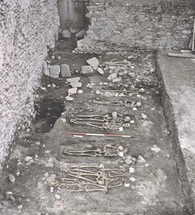 Excavation_overview_DomatEms.jpg.png