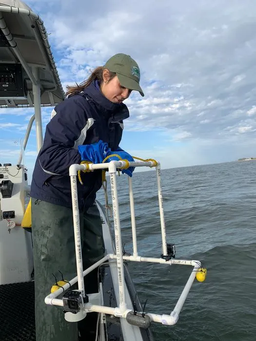 Underwater cameras enabled oyster reef restoration research