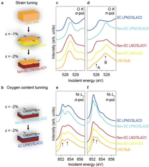Orbital-selective evolution toward superconductivity in nickelate thin films