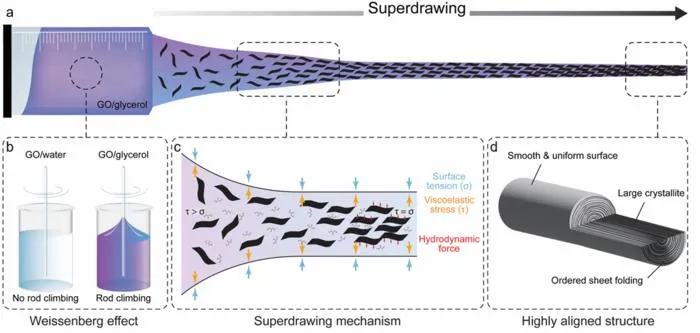 KAIST Technology Behind Toothbrushes and Sportswear Advances into High-Performance Graphene Fiber Research