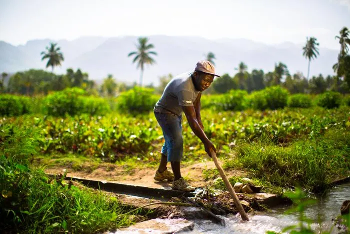 Smallholder Farmer Alliance Member in Haiti working on irrigation channel