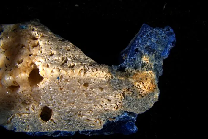 Plasticoral from Sosu Beach, alternate view
