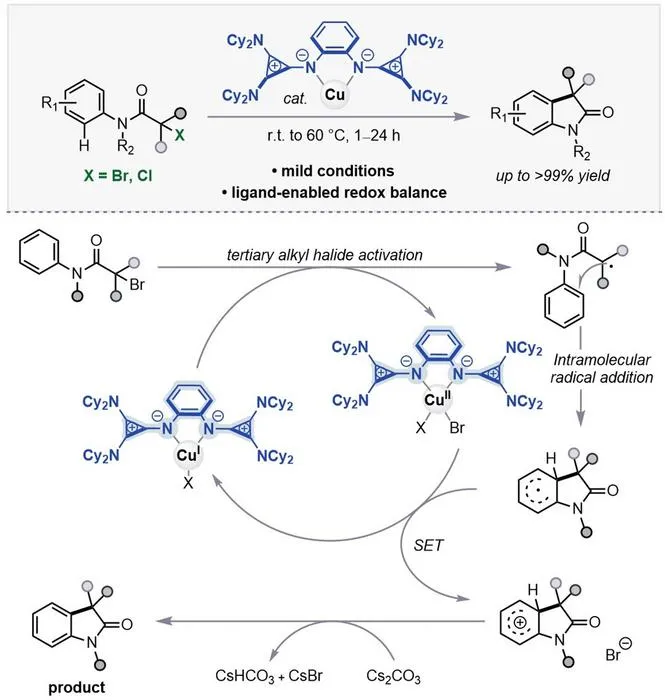 KAIST Develops a Strategy to Balance Radical Generation and Catalyst Regeneration, Enabling Challenging Chemical Reactions