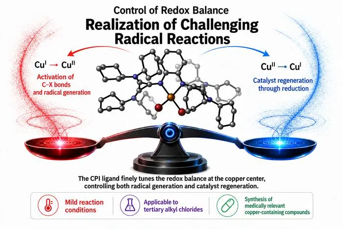 KAIST Develops a Strategy to Balance Radical Generation and Catalyst Regeneration, Enabling Challenging Chemical Reactions