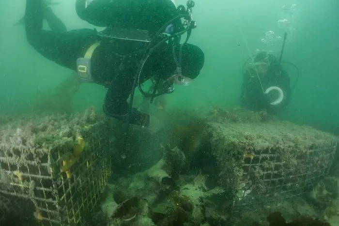 Oceans Wide TRAP