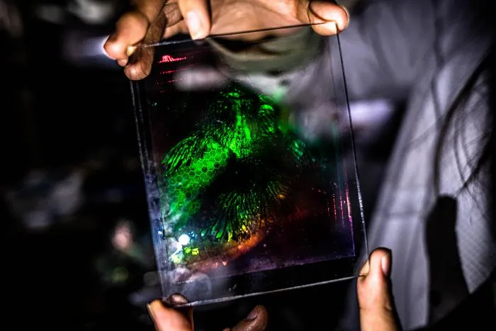 Holographic
