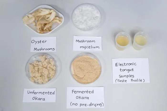 NTU Singapore scientists demonstrate mushroom fermentation method to enhance protein content and flavour of soybean by-product