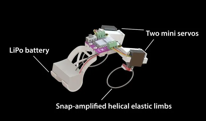 Hopping Robot Diagram